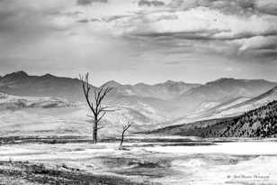 Mammoth Hot Springs 2-7707.jpg